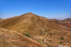 bieszczady-widok-na-halicz-scaled