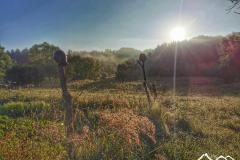 Szlak Karpacki: Beskid Niski