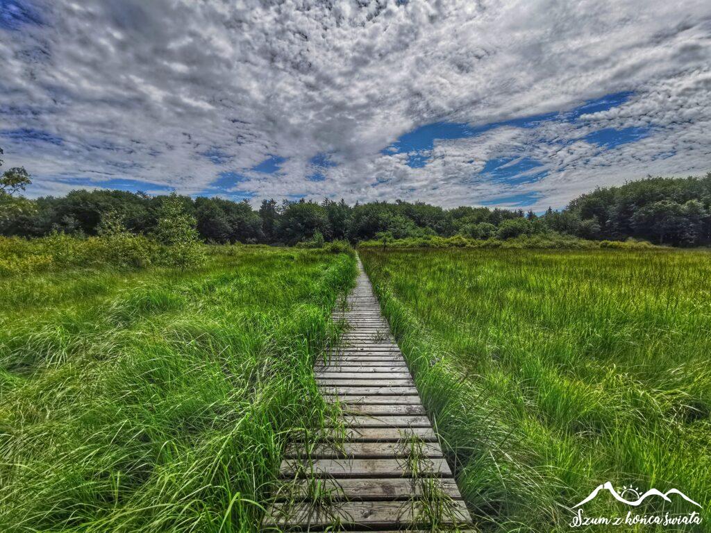 Szlak Karpacki: Beskid Niski