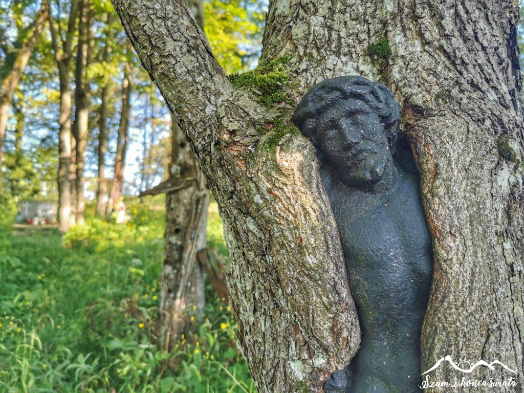 Szlak Karpacki: Beskid Niski