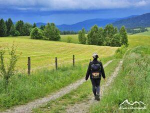 Szlak Dookoła Lutowisk