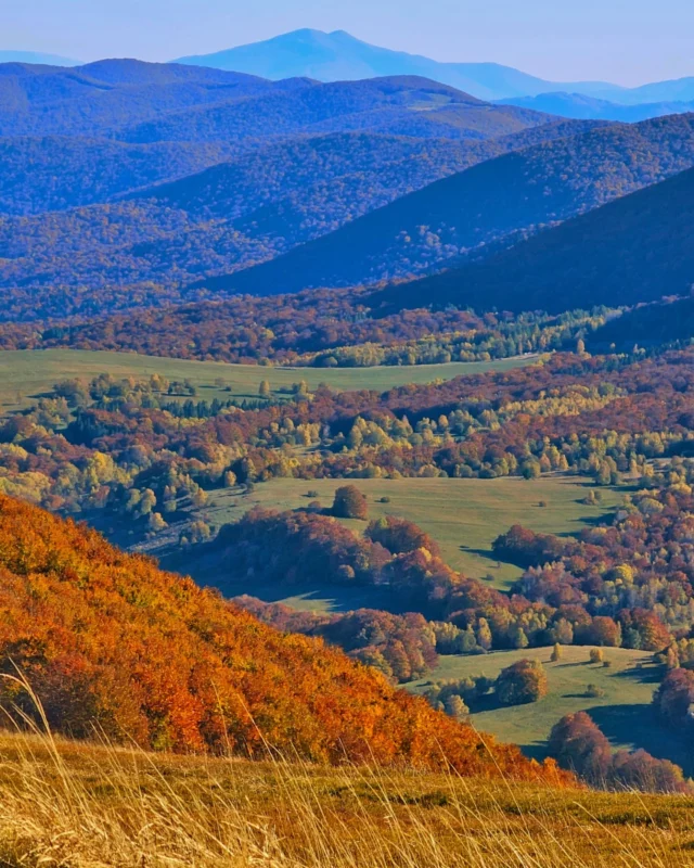 Bieszczadzkie barwy jesieni na Połoninie Wetlińskiej 🍁🍂  Czy niedzielny spacer do Chatki Puchatka w piękną jesienną pogodę oferuje ciszę i spokój? Zdecydowanie nie. Czy oferuje niezapomniane widoki? Zdecydowanie tak.  Na szczęście połoniny są długie i każdy znajdzie miejsce dla siebie 😄  #bieszczadypl #wbieszczady #lovepodkarpackie #podkarpackietravel #rzepedziokolice #beskidadventures #lovebeskidy #beskidymountains #beskiddziki #kochambeskidy #twojebeskidy #polishmountainsadventures #livingpolska #goroholicy #zdobywajgóry #wgorachjestwszystkocokocham #wgórach #goryponadwszystko #górymojegóry #górskiewędrówki #bieszczadysąpiękne #bieszczady #jesień2024