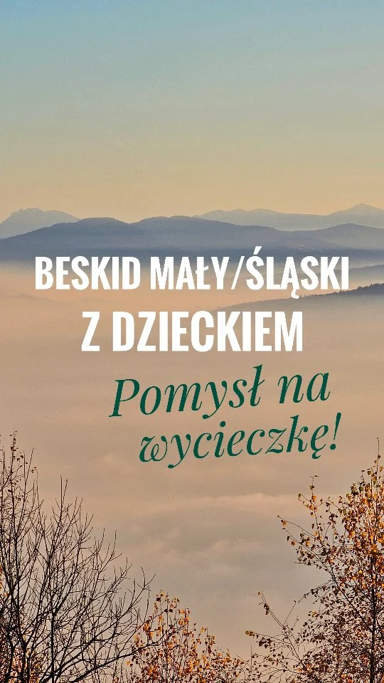 Propozycja wycieczki z nosidłem i nocowaniem w schroniskach, bez auta. Wymagająca (szczególnie drugi dzień), ale oferująca piękne widoki i budująca wspaniałe wspomnienia ❤️  Dzień 1
🚅 Dojazd do Bielska-Białej Leszczyny (pociąg relacji Katowice - Zwardoń)
🟥 Szlak do Przełęczy Łysej, potem 🟨 na Rogacz i Magurkę Wilkowicką
🛌 Schronisko PTTK na Magurce Wilkowickiej
🏔️ 2:45h, 6.8km  Dzień 2
🟩 Szlak do Wilkowic, potem 🟦 do Schroniska PTTK na Klimczoku, ⬛ na Klimczok i 🟨 do Schroniska PTTK na Szyndzielni
🛌 Schronisko PTTK na Szyndzielni
🏔️ 5:00h, 14.5km  Dzień 3
🚡 Zjazd kolejką linową na Szyndzielni 
🚌 Dojazd autobusem na Dworzec PKP (linia 7 lub 8)
🚅 Powrót pociągiem z Bielska-Białej Głównej  W góry z dzieckiem • Gdzie z nosidłem • Szlaki dla dzieci w Beskidach  #goryzdzieckiem #dzieciwgorach #dzieckowpodróży #zdzieckiemwgóry #zdzieckiemwpodróży #goryponadwszystko #pomyslnawycieczke #gdzienaweekend #dzieciakinaszlaki